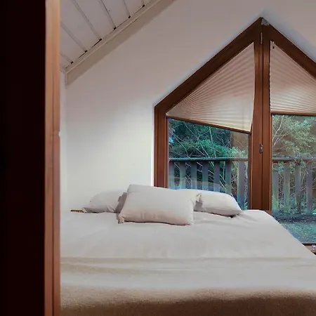 Lesny Dom Z Basenem W Okolicy Zegrza *